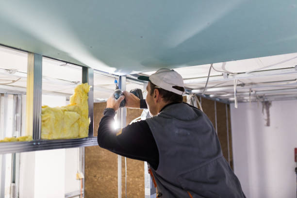 Best Residential Insulation in Ecorse, MI