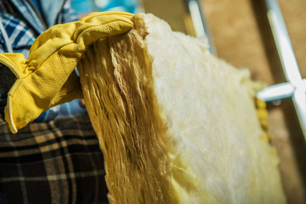 Best Insulation Materials and Products in Ecorse, MI