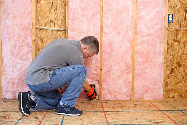 Best Types of Insulation in Ecorse, MI