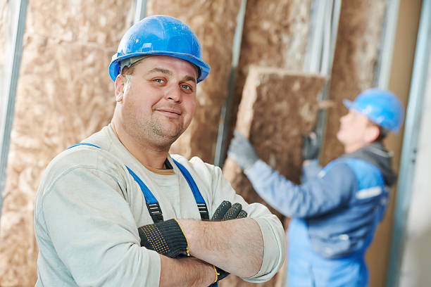 Best Residential Insulation in Ecorse, MI